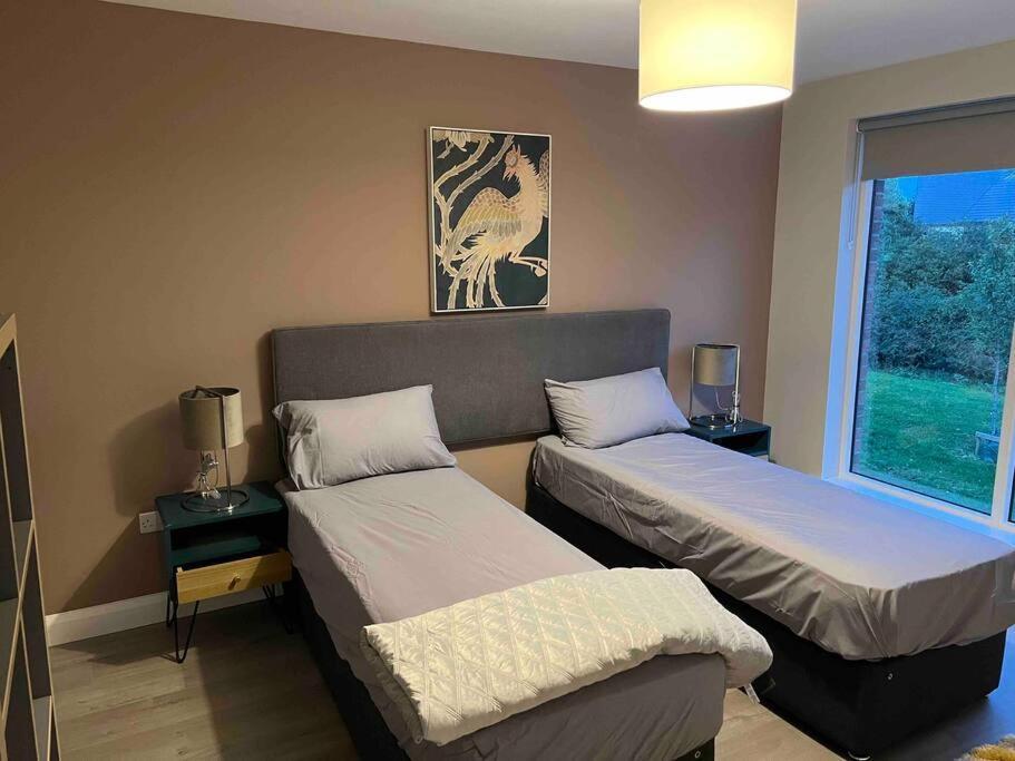 3 Bed Rooms Vip Family House ダブリン エクステリア 写真