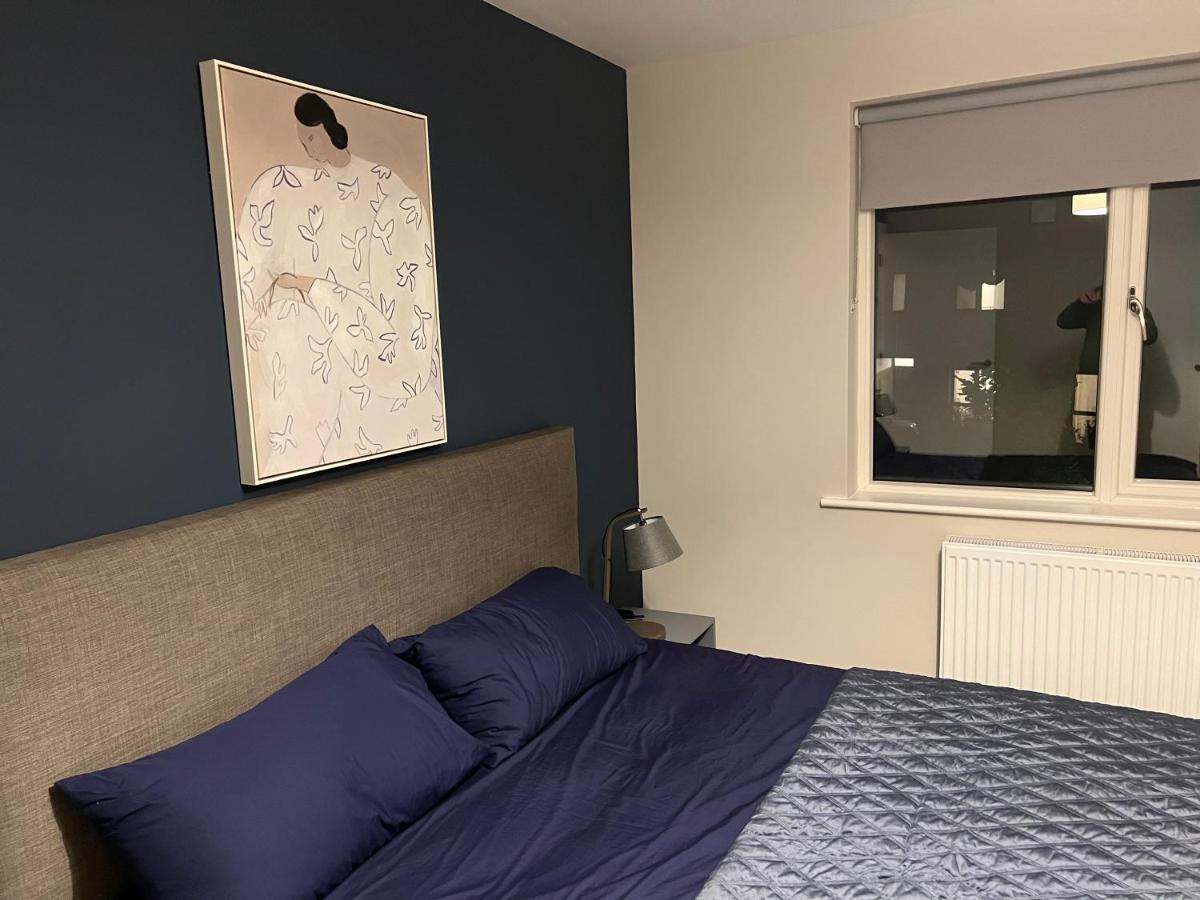 3 Bed Rooms Vip Family House ダブリン エクステリア 写真